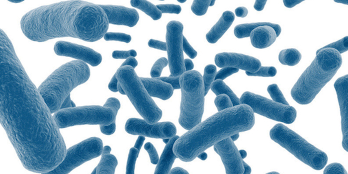 Пробиотики (полезные бактерии) – влияние на организм человека