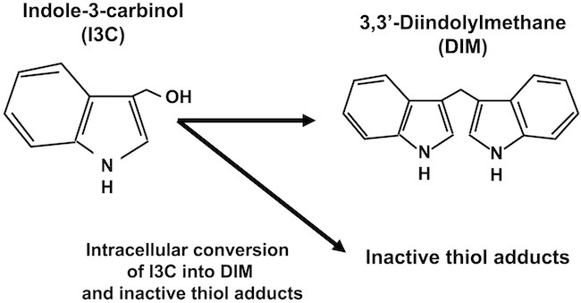 индол-3-карбинол-ДИМ